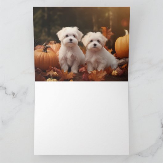 Maltese puppy herfst verrukking pompoen kaart (Binnen)