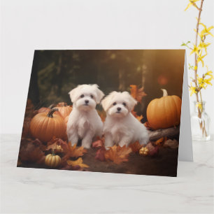 Maltese puppy herfst verrukking pompoen kaart