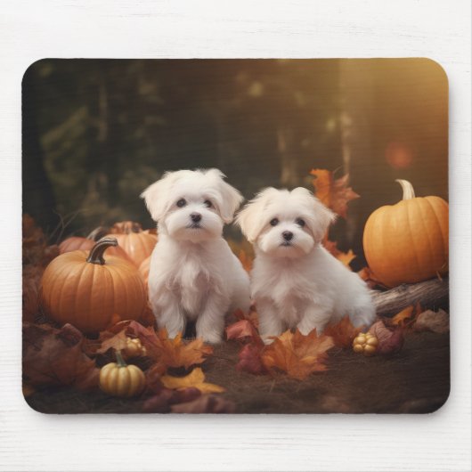 Maltese puppy herfst verrukking pompoen muismat (Voorkant)