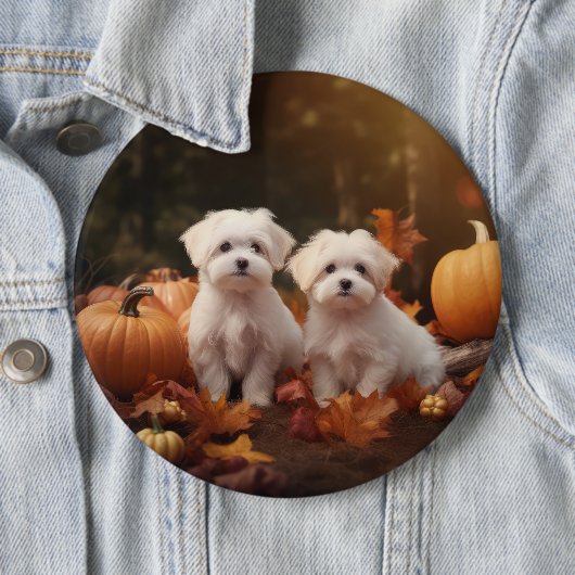 Maltese puppy herfst verrukking pompoen ronde button 6,0 cm (In situ)