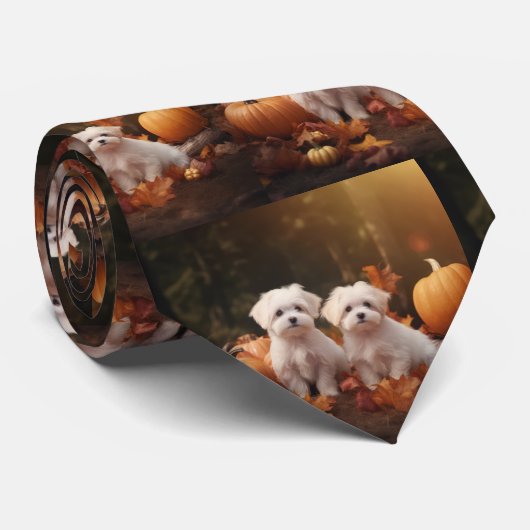 Maltese puppy herfst verrukking pompoen stropdas (Opgerold)