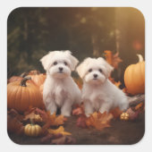 Maltese puppy herfst verrukking pompoen vierkante sticker (Voorkant)