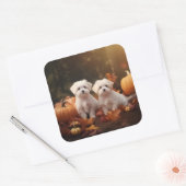 Maltese puppy herfst verrukking pompoen vierkante sticker (Envelop)