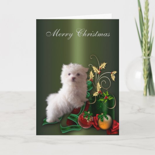 Maltese puppy hond Kerstmis Feestdagen Kaart (Voorkant)