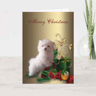 Maltese puppy hond Kerstmis Feestdagen Kaart
