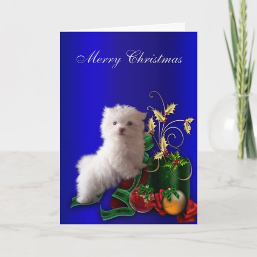 Maltese puppy hond Kerstmis Feestdagen Kaart (Voorkant)