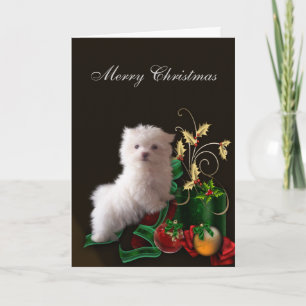 Maltese puppy hond Kerstmis Feestdagen Kaart