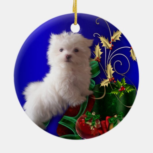 Maltese puppy hond Ornament (Achterkant)