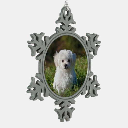 maltese puppy in gras tin sneeuwvlok ornament (Links)