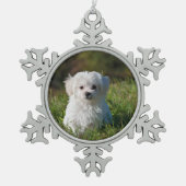 maltese puppy in gras tin sneeuwvlok ornament (Voorkant)