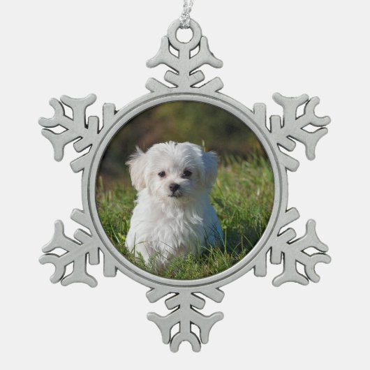 maltese puppy in gras tin sneeuwvlok ornament (Voorkant)