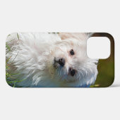 Maltese puppy in Grass Case-Mate iPhone Case (Achterkant (horizontaal))