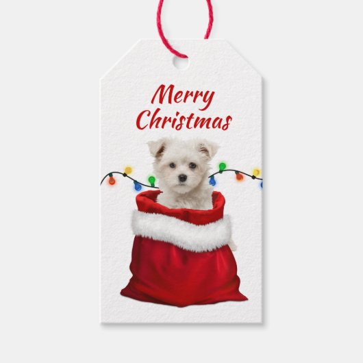Maltese puppy in Santa Bag Cadeaulabel (Voorkant)