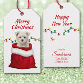 Maltese puppy in Santa Bag Cadeaulabel