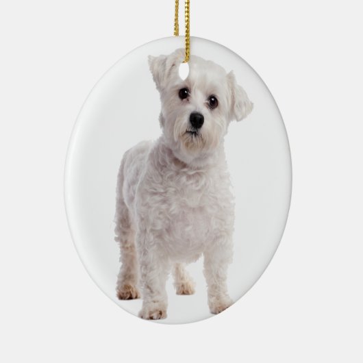 Maltese puppy keramisch ornament (Rechts)