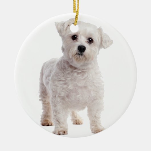 Maltese puppy keramisch ornament (Voorkant)