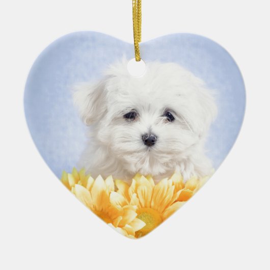 Maltese puppy keramisch ornament (Voorkant)