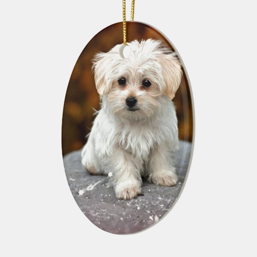 Maltese puppy keramisch ornament (Links)