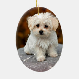 Maltese puppy keramisch ornament