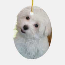 Maltese puppy keramisch ornament
