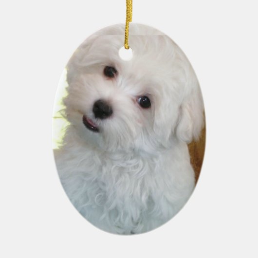 Maltese puppy keramisch ornament (Voorkant)