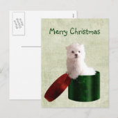 Maltese puppy Kerstmis Feestdagenkaart (Voorkant / Achterkant)