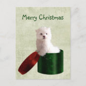 Maltese puppy Kerstmis Feestdagenkaart (Voorkant)