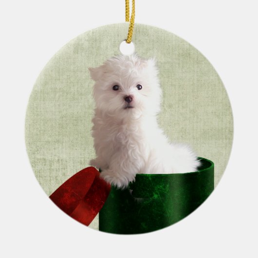 Maltese puppy Kerstmis Keramisch Ornament (Voorkant)