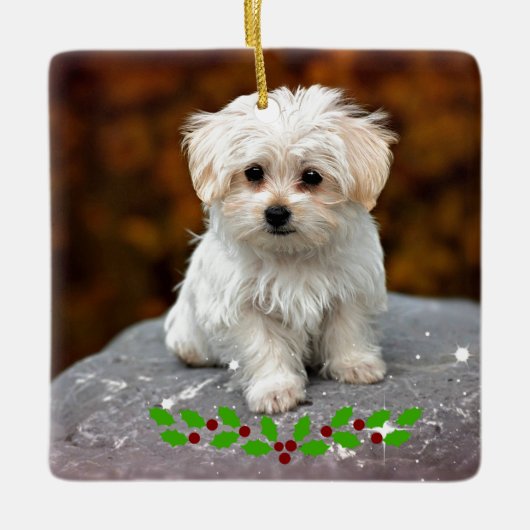 Maltese puppy met kerst heilig keramisch ornament (Voorkant)