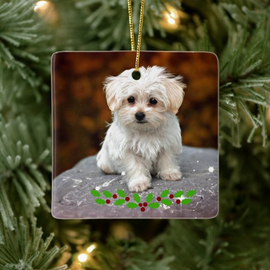Maltese puppy met kerst heilig keramisch ornament (Boom)