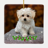 Maltese puppy met kerst heilig keramisch ornament (Achterkant)