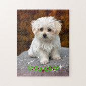 Maltese puppy met kerst heilig legpuzzel (Verticaal)