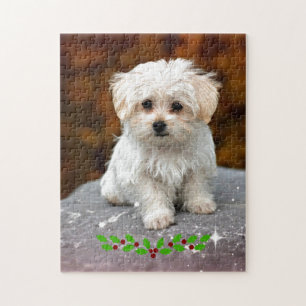 Maltese puppy met kerst heilig legpuzzel