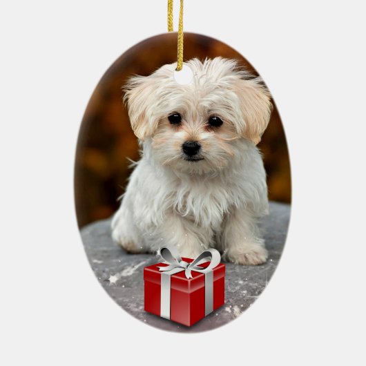 Maltese puppy met kerstmis keramisch ornament (Achterkant)