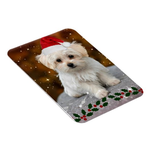Maltese puppy met kerstmis magneet (Rechterzijde)