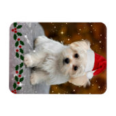 Maltese puppy met kerstmis magneet (Horizontaal)