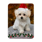 Maltese puppy met kerstmis magneet (Verticaal)