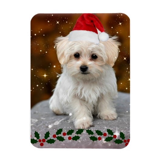 Maltese puppy met kerstmis magneet (Verticaal)