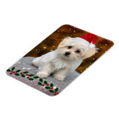 Maltese puppy met kerstmis magneet (Linkerzijde)