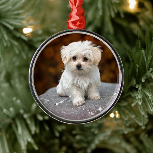 Maltese puppy metalen ornament (Boom)