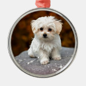 Maltese puppy metalen ornament (Voorkant)