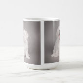 Maltese puppy mok (Center)