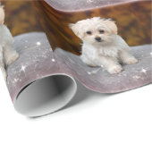 Maltese puppy, oh zo schattig, cadeaupapier (Rol Hoek)