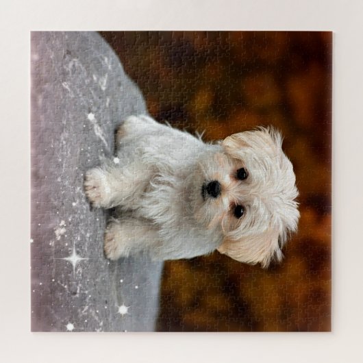 Maltese puppy, oh zo schattig legpuzzel (Horizontaal)