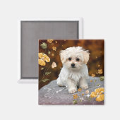 Maltese puppy, oh zo schattig, magneet (Voorkant / Achterkant)