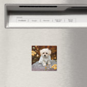 Maltese puppy, oh zo schattig, magneet (Insitu (Vaatwasser))