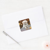 Maltese puppy, oh zo schattig, vierkante sticker (Envelop)