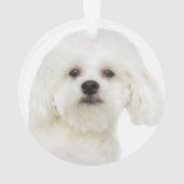 Maltese puppy personaliseren ornament (achterkant)