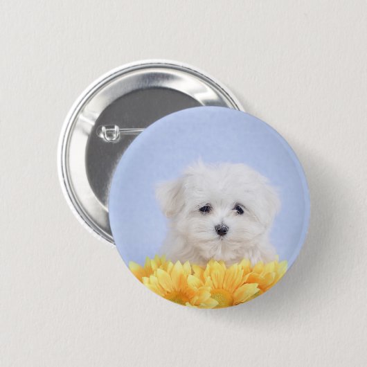 Maltese puppy ronde button 5,7 cm (Voorkant /achterkant)