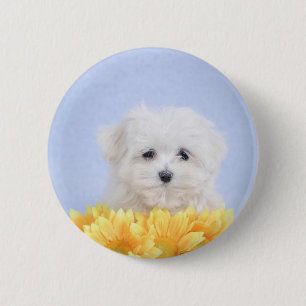 Maltese puppy ronde button 5,7 cm